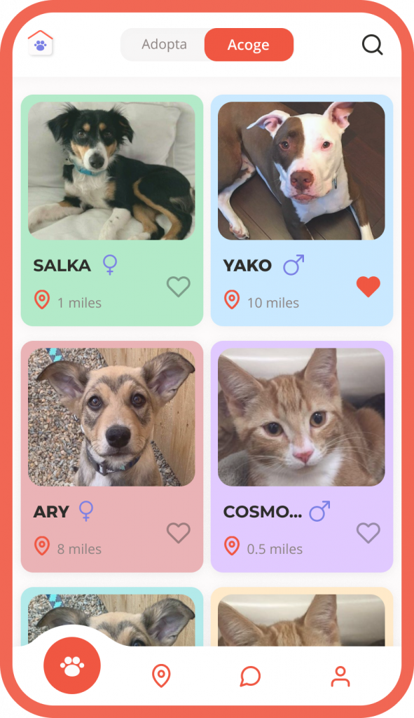 KLYGO App. Entrevista con el equipo de Klygo, la app para adoptar y acoger animales | App Marketing News
