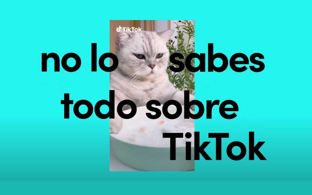 TikTok trae a España los premios No lo sabes todo sobre TikTok