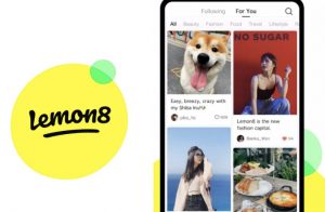 lemon8