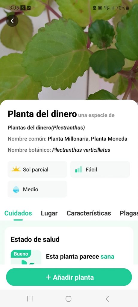 App Review Parent Plant